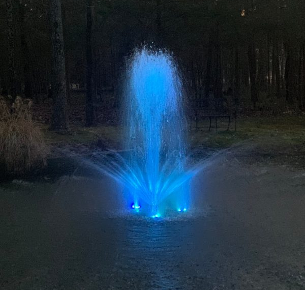 Pond Fountains for Koi Keepers: What Works and What Hurts the Fish