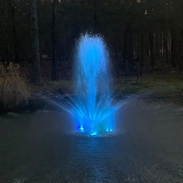 Pond Fountains for Koi Keepers: What Works and What Hurts the Fish